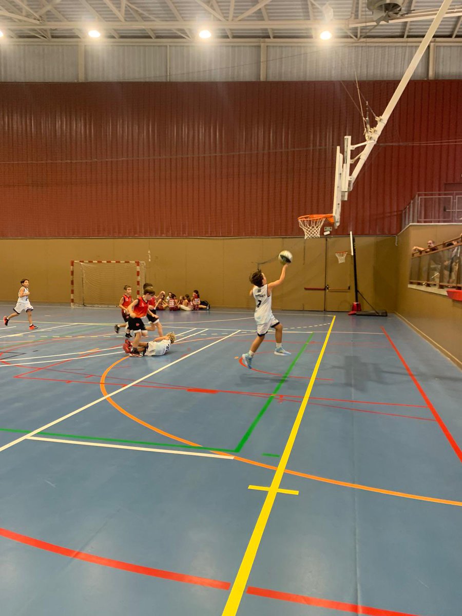 FCBQ_CatCentral tweet media