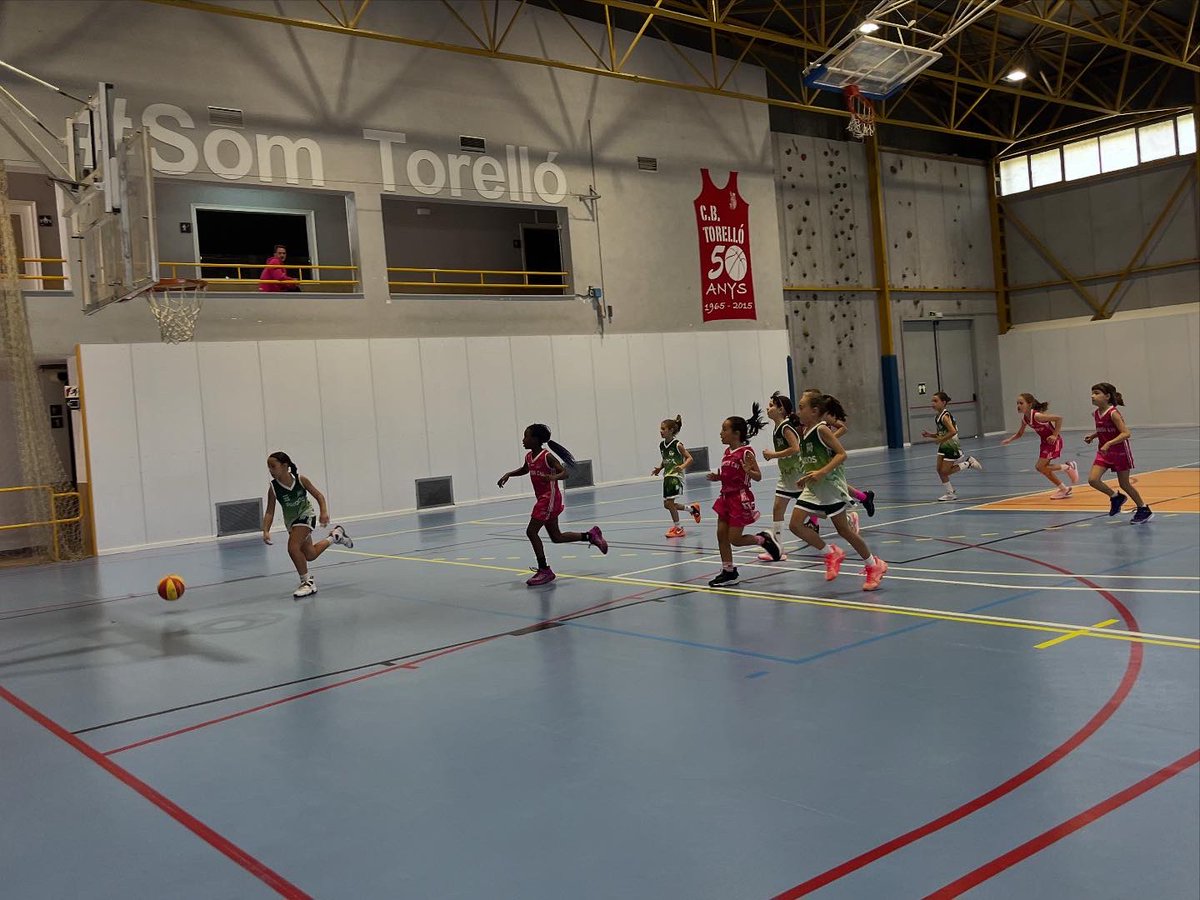 FCBQ_CatCentral tweet media