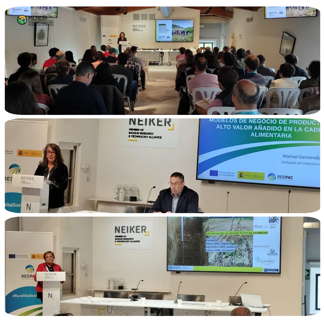 meneko_fed's tweet image. #Neiker izan da aurtengo #REDPAC-ek landa-sektoreko berrikuntza sustatzeko antolatutako jardunaldien sede. 
Jornadas @redPAC_ para fomentar la innovación en el sector rural, con @neiker_BRTA como sede. 
ℹ️linkedin.com/feed/update/ur…

#meneko #landagarapena #desarrollorural