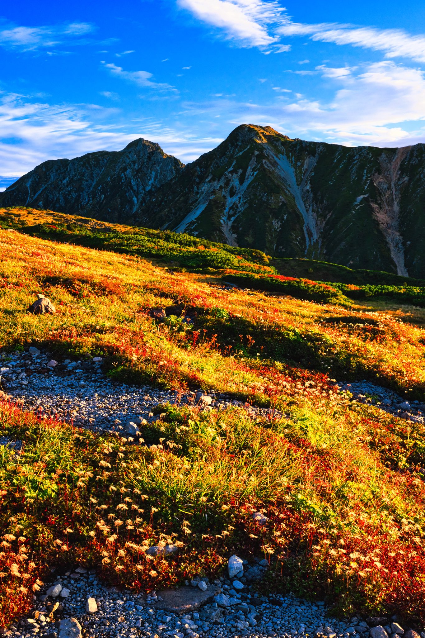 屏風(山岳中のタカの神殿) takaosan-yakuoin-yukiji-temple