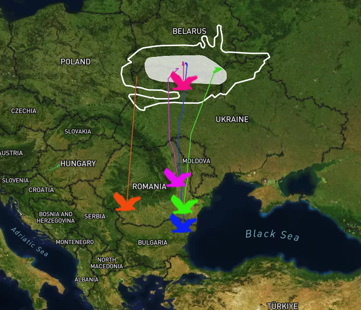 wildpolesia's tweet photo. Just look! The #GreaterSpottedEagles are on their annual journey from #WildPolesia to their
wintering grounds, thousands of miles away. Where are they flying, and who is
the fastest? Follow the rare birds' #autumnmigration online via the interactive
map: https://t.co/R1fL21VaBB. https://t.co/FMsCN5tXUI