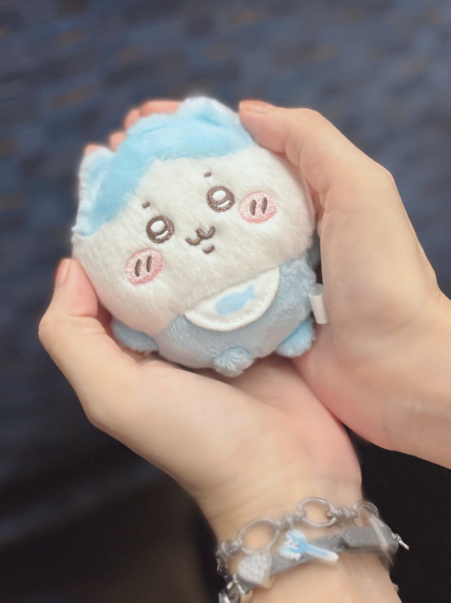 ちぃわわ ちいさわ🐟 (@chiiiisawa) / X