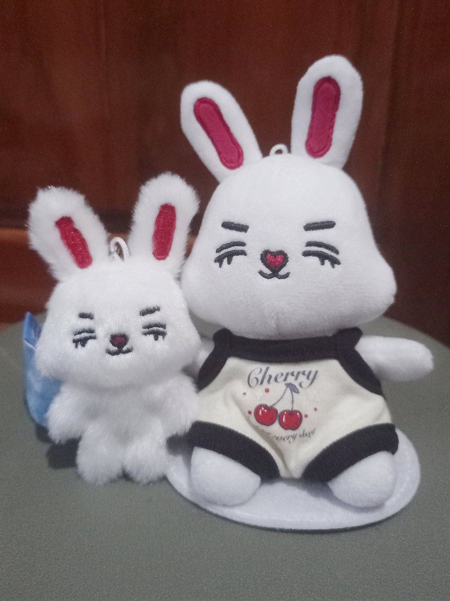 <a href="/Go_facegyu/">Facegyu</a> Kak Yoviiii makasih udah dibantuin bawa pulang Cherry kuntet ini. Semuanya serba cepet, sat set dari awal PO sampe sekarang udah sampe rumah. 😄😄