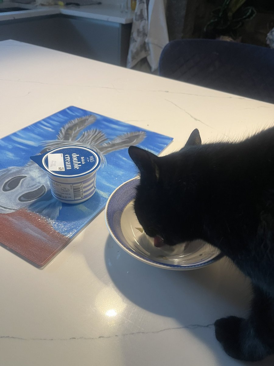 “My milkshakes bring all the boys to my yard”