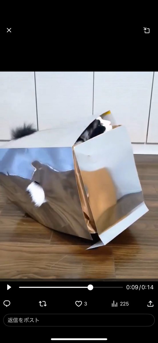 【新品未開封】万博 公式 null2 Tシャツ Lサイズ ヌルヌル 着画 万博 ヌルヌルnull2 公式TシャツM 落合陽一パビリオン - メルカリ