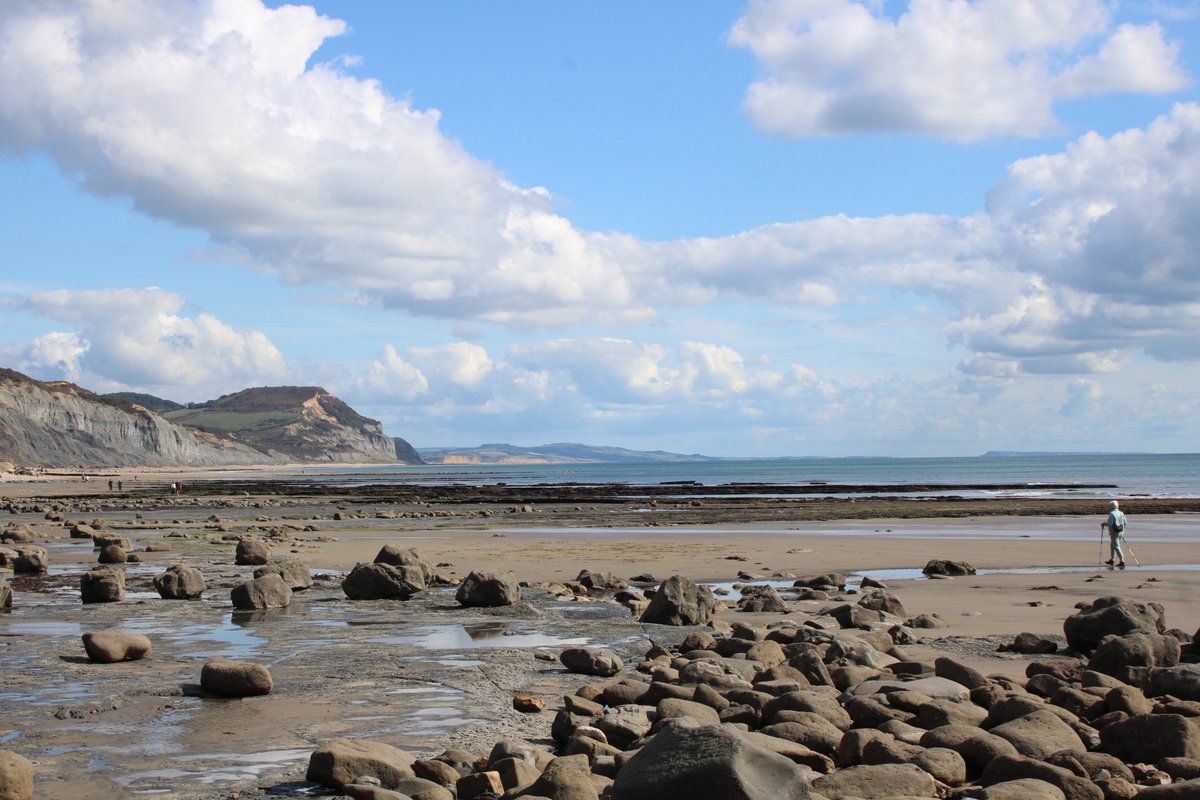 Charmouth Dorset #tidesoutTuesday