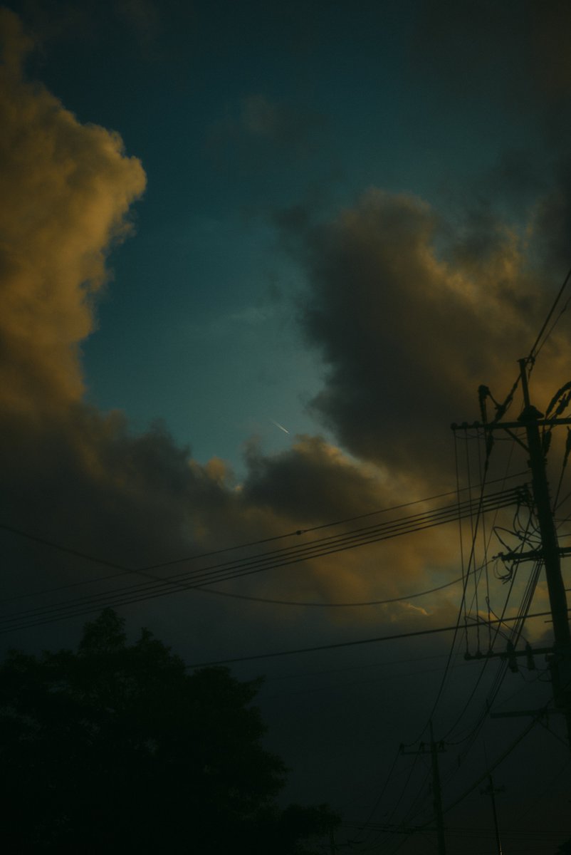 shintake_photo's tweet image. Walking in the Autumn Sunset