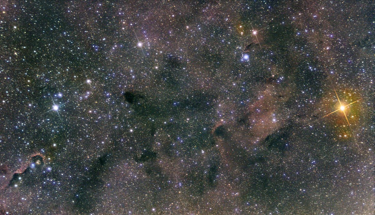 SVBONYsvbony's tweet photo. ๐ Garnet Star and Elephant Trunk Nebula ๐
Captured with:
๐ญ SV503 70ED & 0.8x 80ED Flattener
๐ธ SV705C Camera
๐ Location: Bortle 4
๐https://t.co/5fJhAHGGr8
(PIC.Mark Welsh)
#SV503 #SVBONY #Astrophotography #DeepSky #SpaceCapture #Astronomy https://t.co/VHjZw0xlez