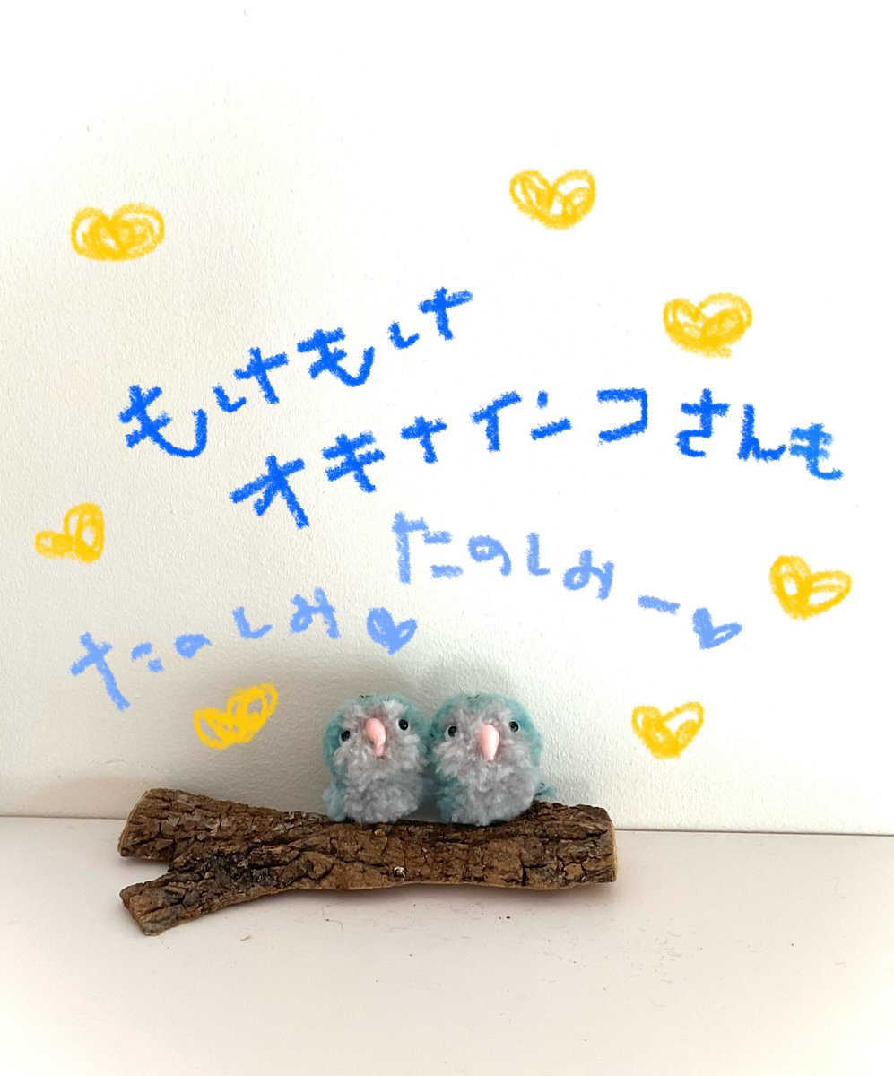 Torikobo tweet media