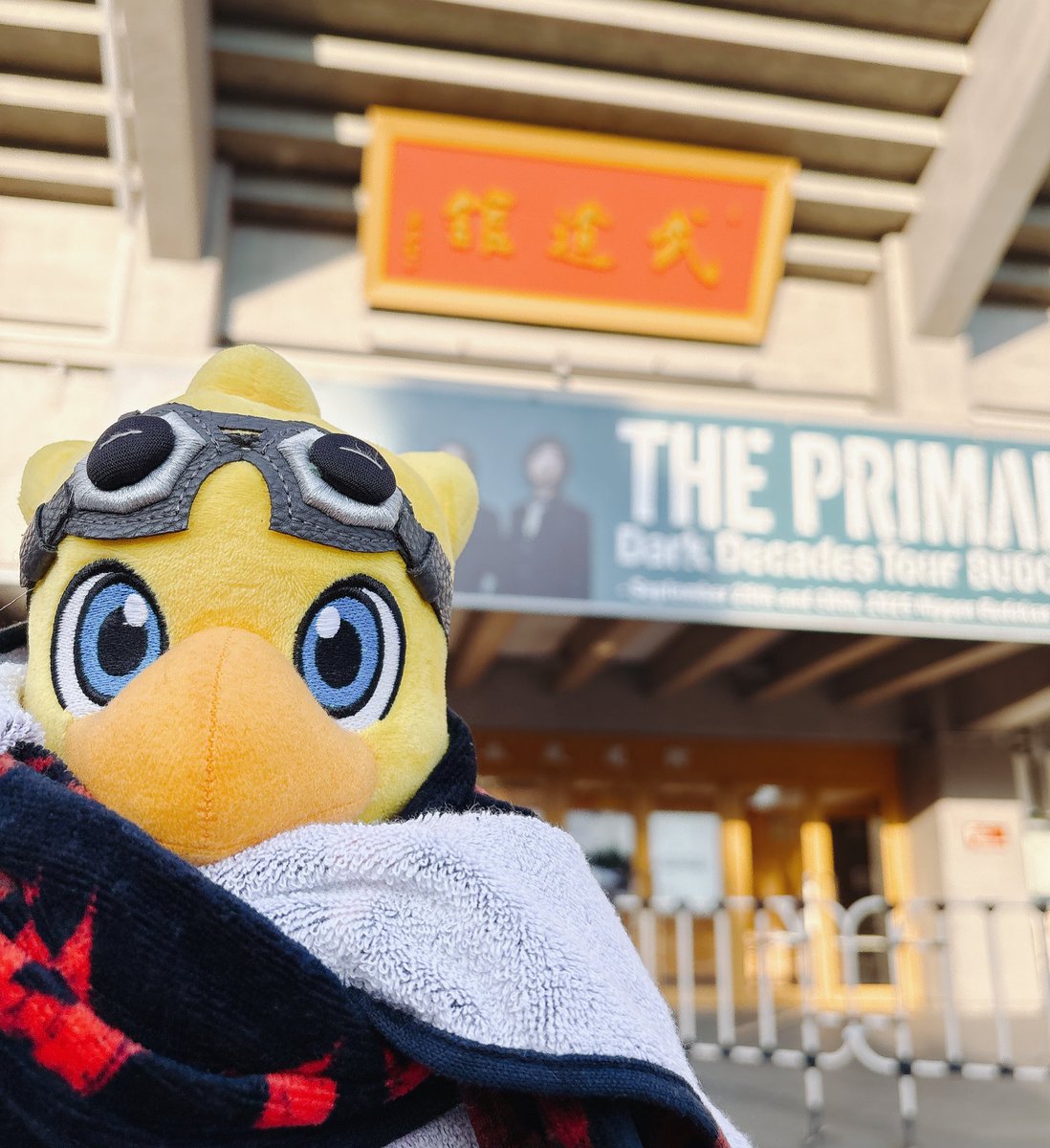 mutotamu's tweet photo. プライマルズ！✊ https://t.co/4l5p6vDHlv