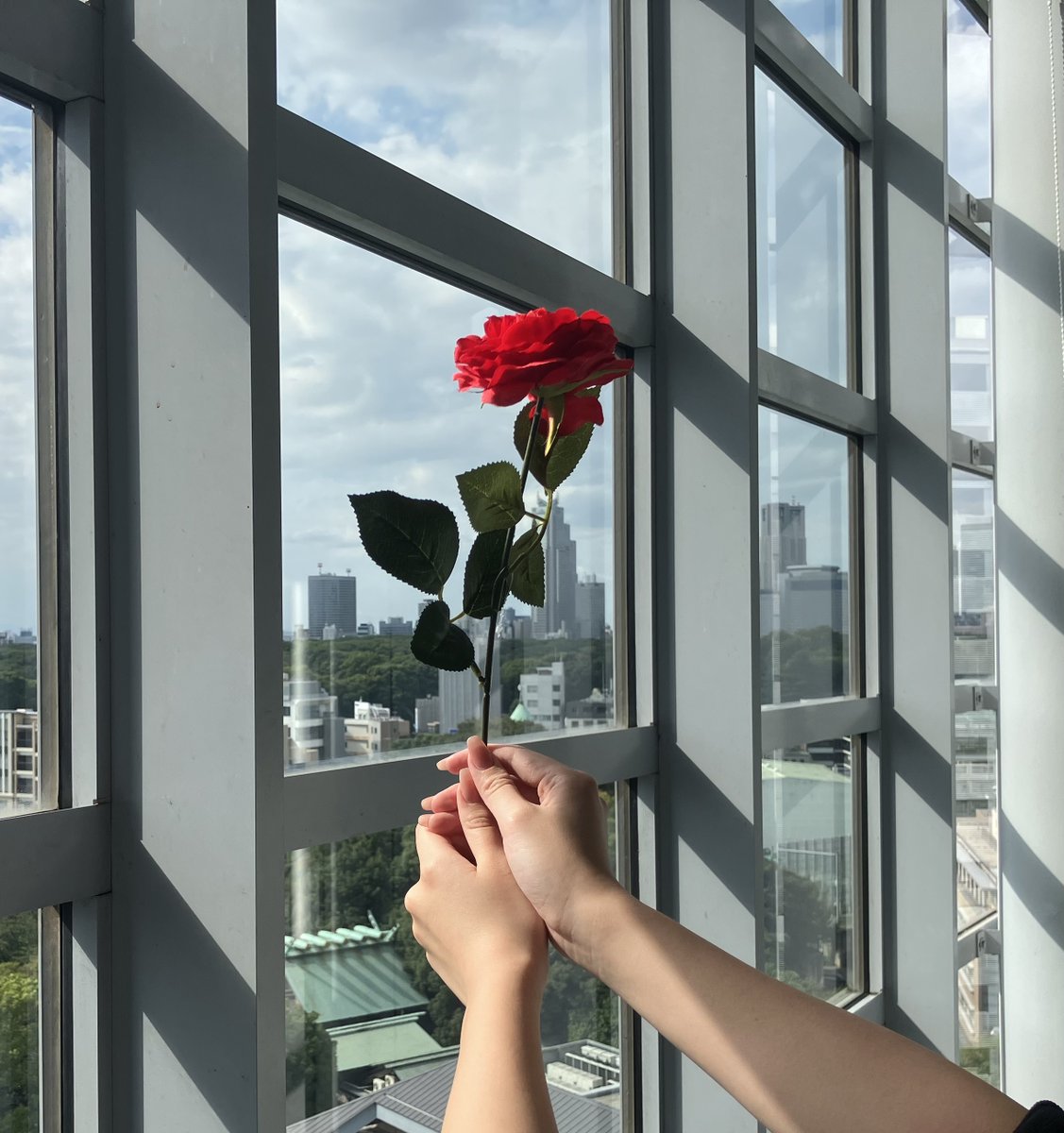 みんなの安全ばっかり気になっちゃう、、IS THIS LOVE…？🌹
x.com/Duolingo_Japan…