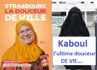 Après l'affiche du vendeur à la sauvette de Tours Eiffel importés de Chine qui travestit la réalité de cette catégorie de vendeurs, une nouvelle polémique est arrivée avec la ville de #Strasbourg qui, dans une série de portraits, choisit une femme voilée [au demeurant je n’ai