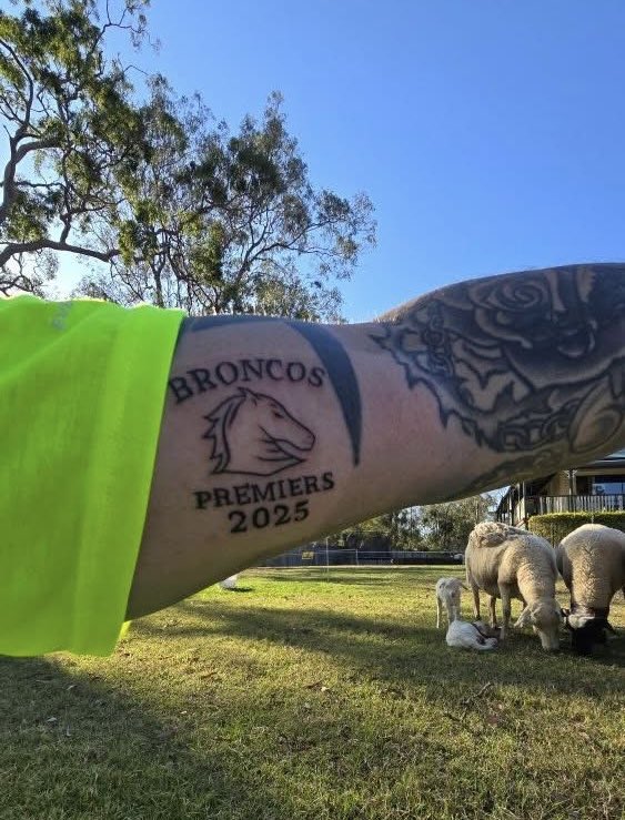 tabcomau's tweet image. This Broncos fan is confident 😳 #NRLGF