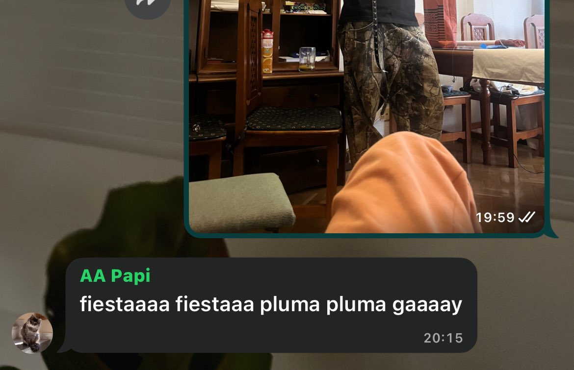 la madre de mi novio // mi padre