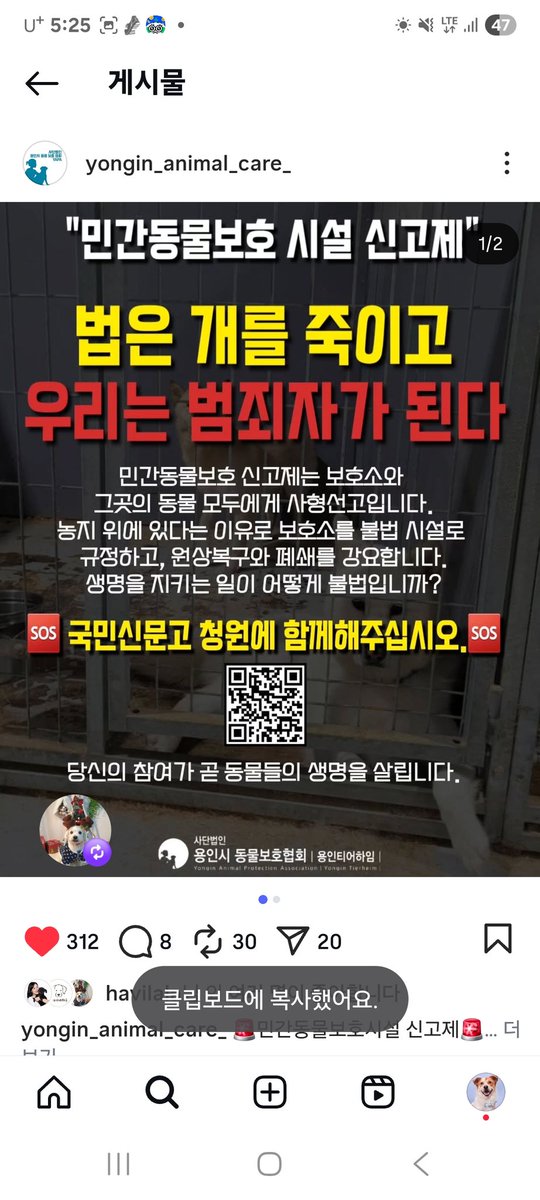 기사 꼭 클릭해서 전문 읽어주세요

시온쉼터와 용보협도 민간동물보호 신고제 때문에 위기에 처해 있습니다
이데일리 기사에 자세한 내용이 나와 있고 용보협은 인스타를 통해 국민신문고 청원 도움을 요청하고 있어요

instagram.com/p/DPDIS6bknsg/…