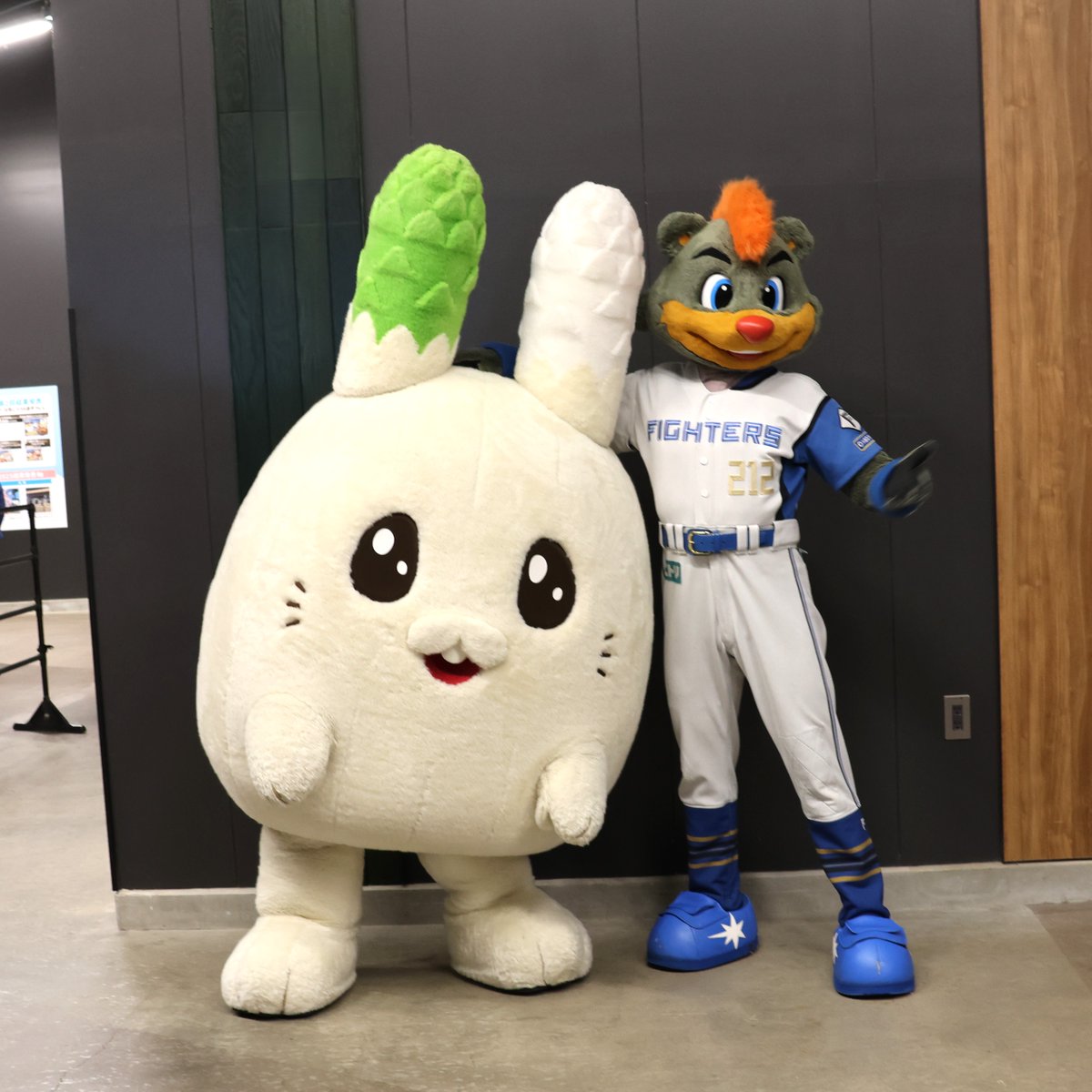 usaparakun's tweet photo. たくさんのお友だちやB・Bくんと遊んだパラー♪
たのしかったパラ！ありがとパラー！
#日本ハムファイターズ 
#後志地域PRフェア
#B・Bくん https://t.co/1WqT2llIl9