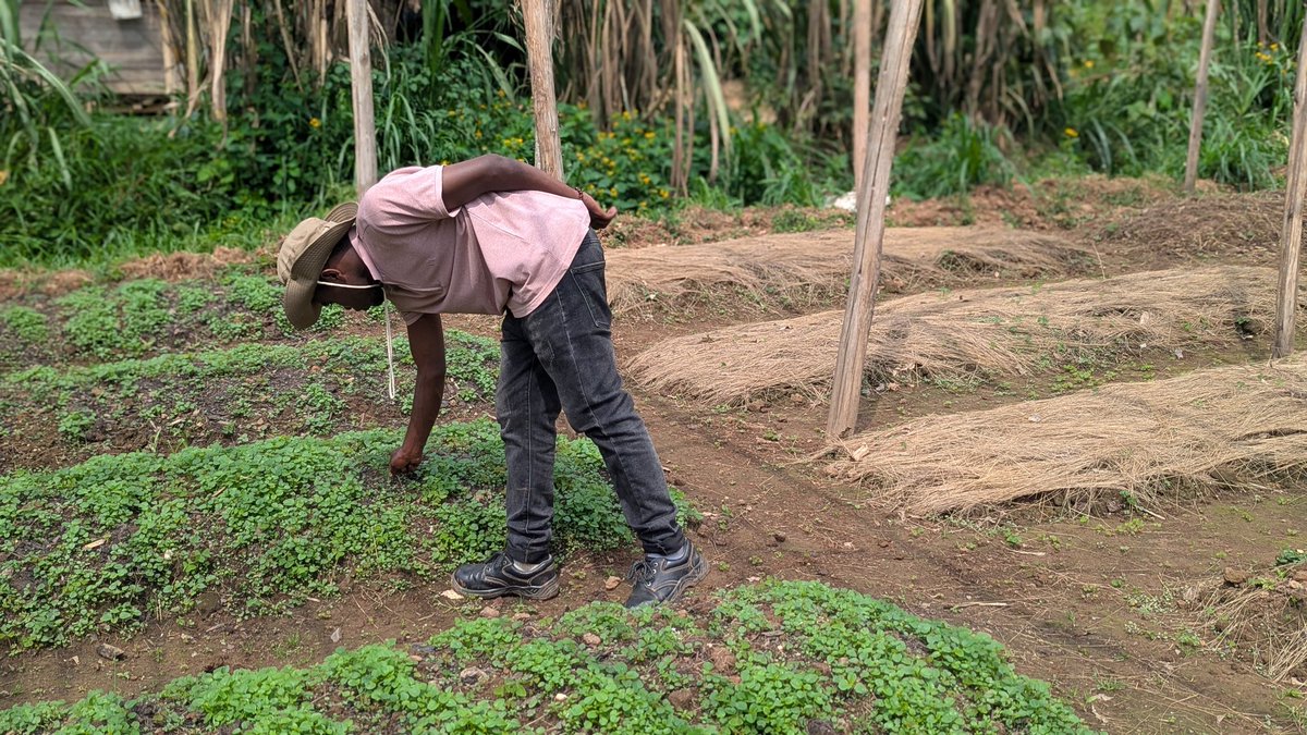 UwaseYves3's tweet photo. Where there's a seed there's a Hope of Life. And this is our motivation as farmers, we believe that our hard work creates and strengthens living hope in the community. Never feel tired of farming because it is the only way to save the community. #LoveYourFarm #FarmForFuture . https://t.co/NAJMGsXNYM