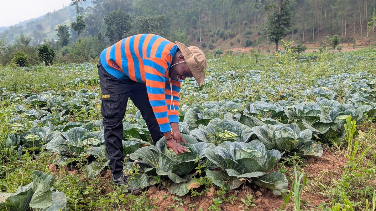 UwaseYves3's tweet photo. Where there's a seed there's a Hope of Life. And this is our motivation as farmers, we believe that our hard work creates and strengthens living hope in the community. Never feel tired of farming because it is the only way to save the community. #LoveYourFarm #FarmForFuture . https://t.co/NAJMGsXNYM
