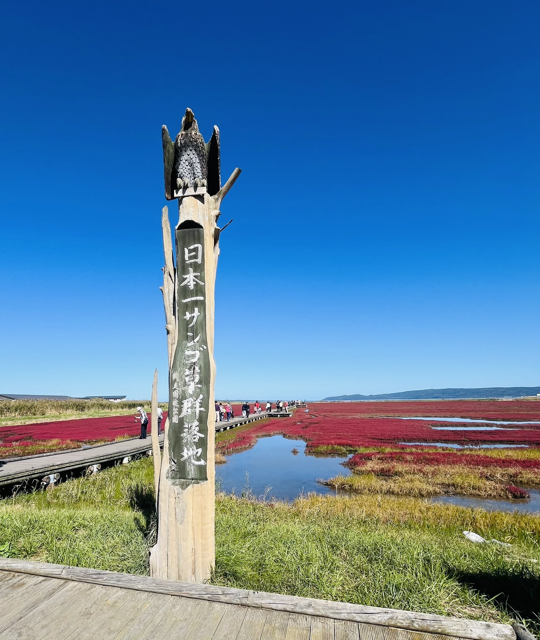 静かな湖 2024年中禅寺湖③ | 鱒ノ道