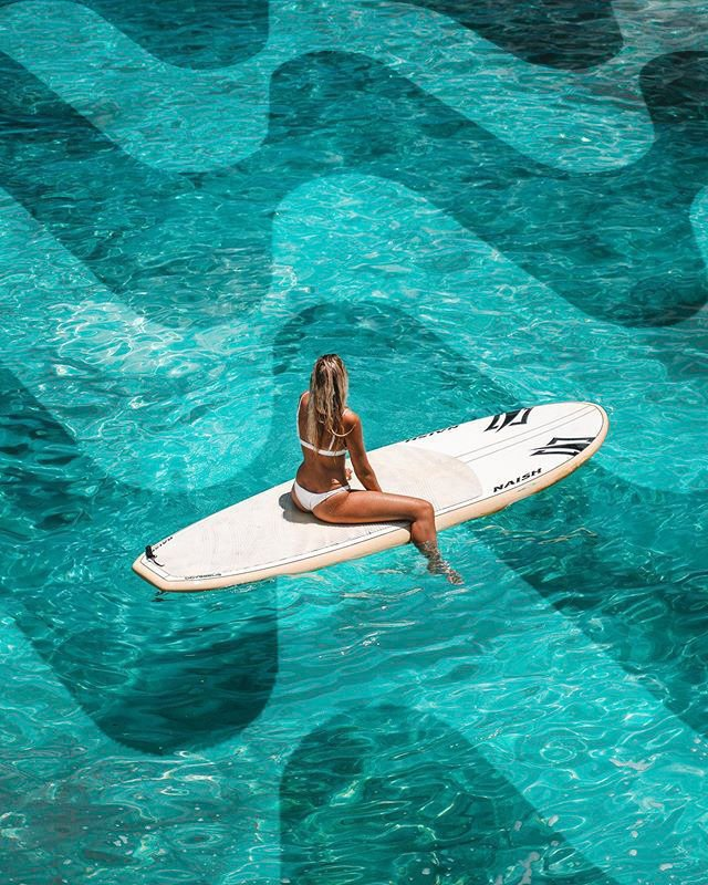 🏄Surf has also distributing rewards!

<a href="/surfai/"></a> is one of the projects onboarded to Kaito.
It distributes rewards to the TOP 100 over 5 months.
There are now 3 opportunities left, 
and another snapshot will start soon.
The prizes announced through the official account are as