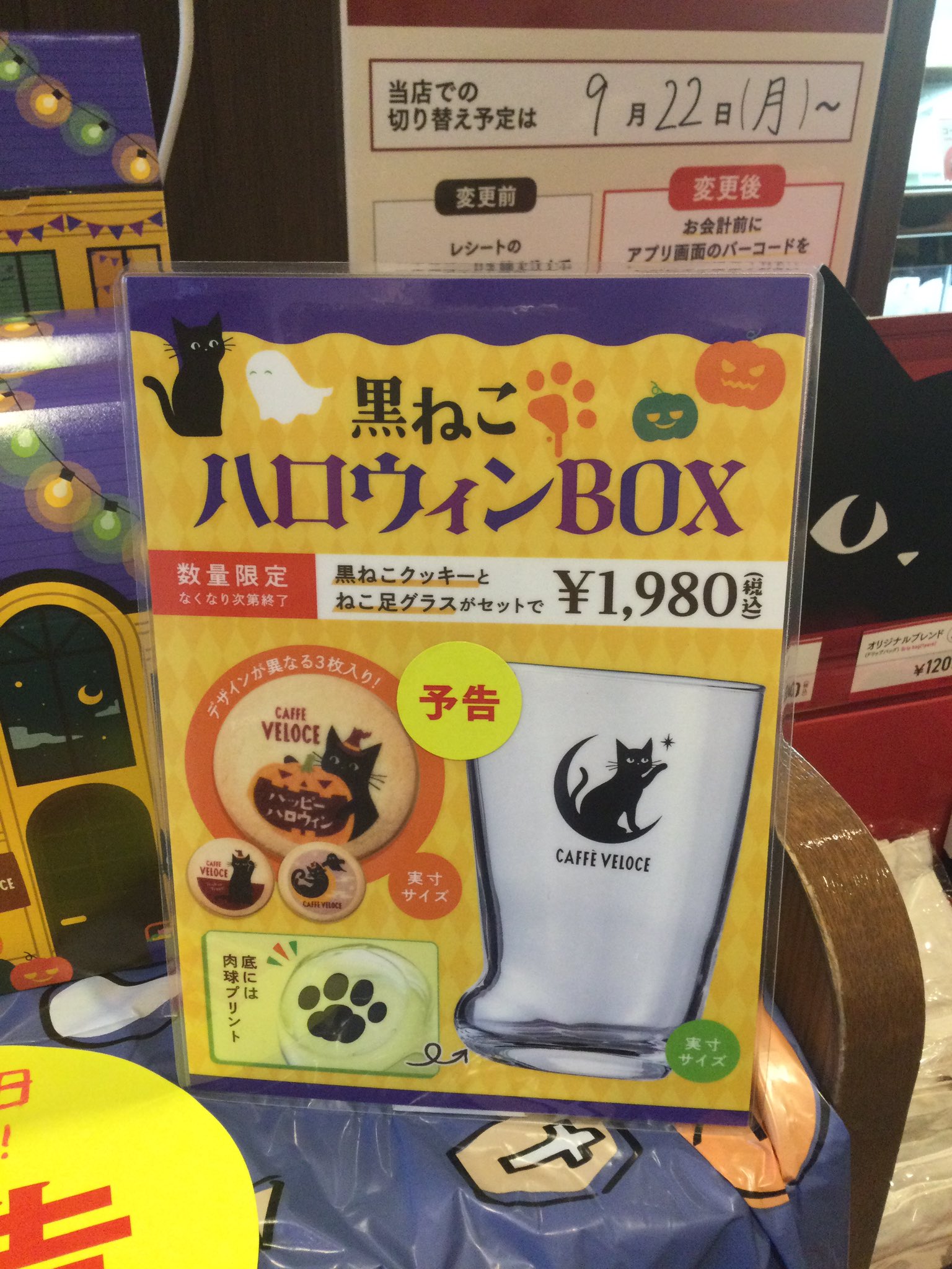 黒猫はじめました。 on X: 