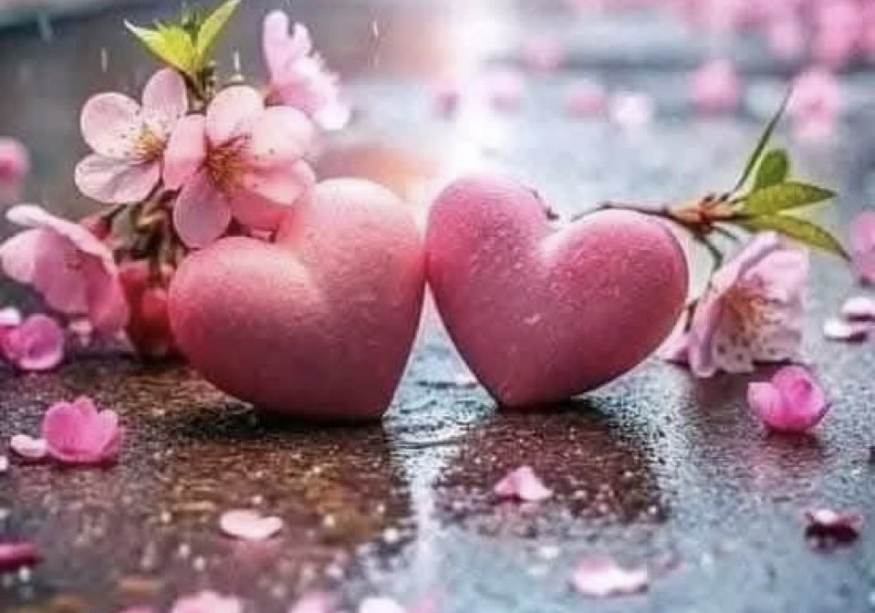 "صباااحكم سعادة تعانق قلوبكم "
       "وتشرح صدوركم "❣️
   "صباح الخير والحب والسلام " 💗
                    #صباحيات