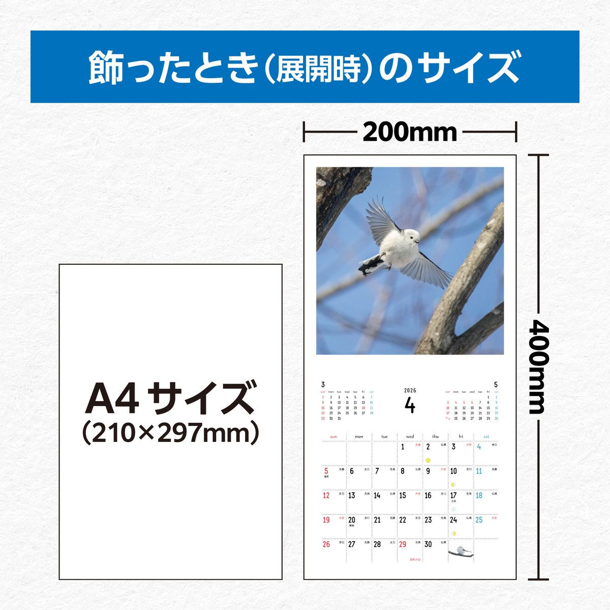 ◎2.3月新刊◎❖❖(全23冊)専用出品⑲❖❖ E☆2編集部@E☆2 frontier Vol.14📘7月3日発売😸🎊 (@ejx_mizuta