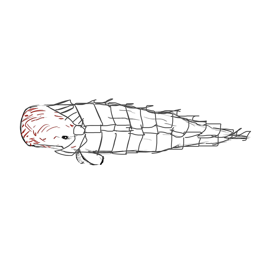 that one time the sperm whale discourse came up on the tl and i drew armor for it