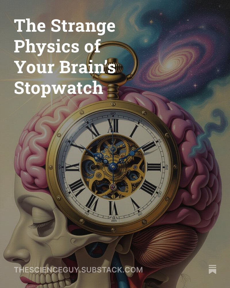 ready2role's tweet image. The Strange Physics of Your Brain’s Stopwatch

FREE Science Newsletter: 👇👇

thescienceguy.substack.com/p/the-strange-…

#ScienceOnline #LearnScience #OnlineLearning #VirtualClassroom #Science #DigitalLearning #RemoteEducation