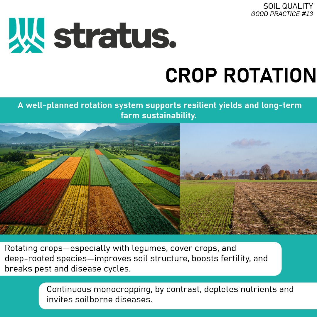 STRATUS is sharing the knowledge collected accross Eurpe to promote a more sustainable way to use fertilizers building a better future for agriculture.

👇Learn more here 👇
stratusproject.eu/wp-content/upl…