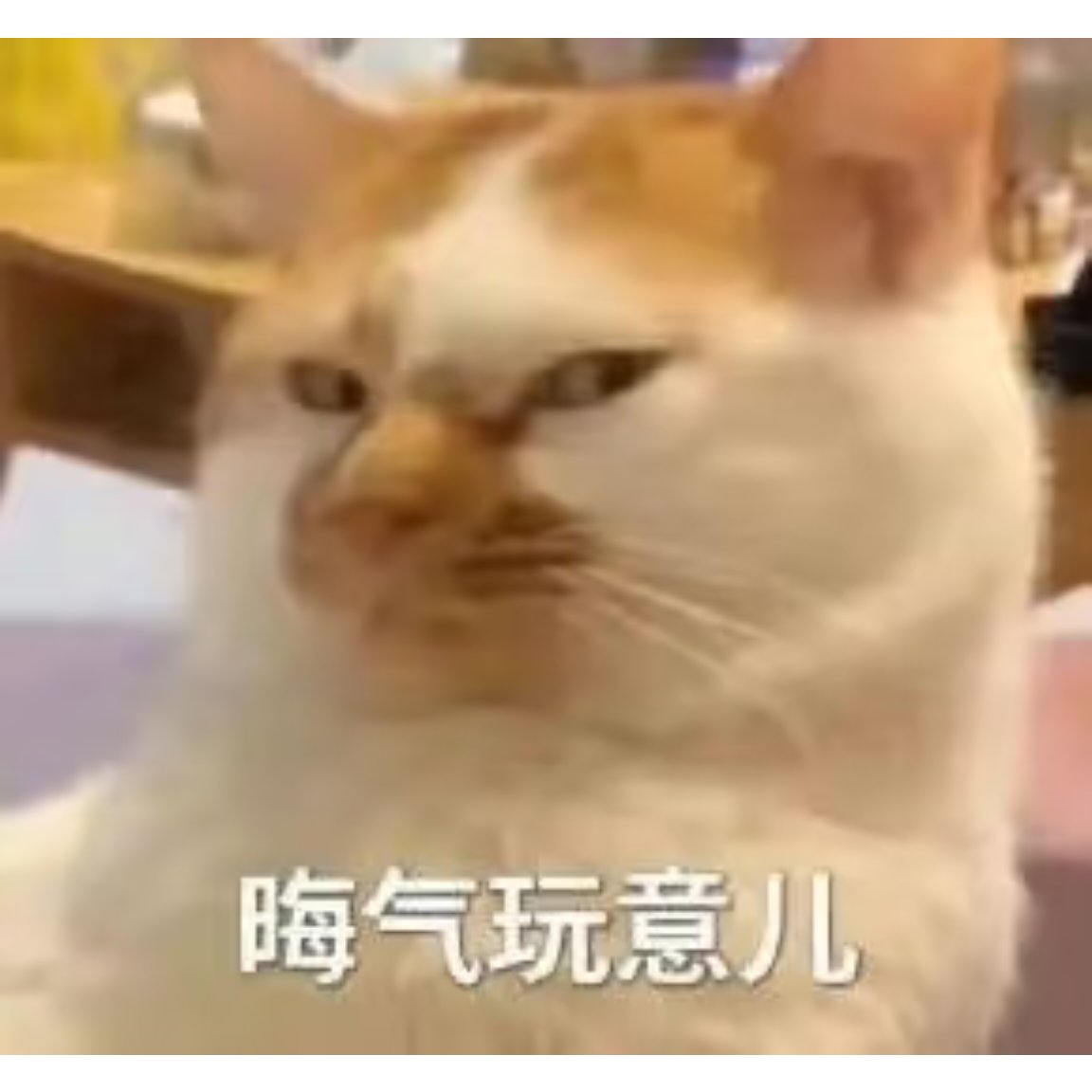 跟我说在别人那里入了门，然后觉得不值得觉得贵了，你想要我说什么好呢？安慰你一下？拉黑你都算是轻的了吧？