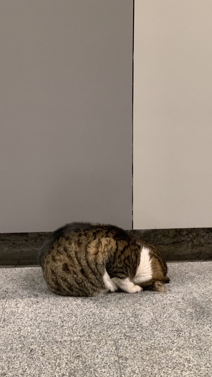 eceemyuce's tweet photo. 😭 https://t.co/RT3y4uQFHJ