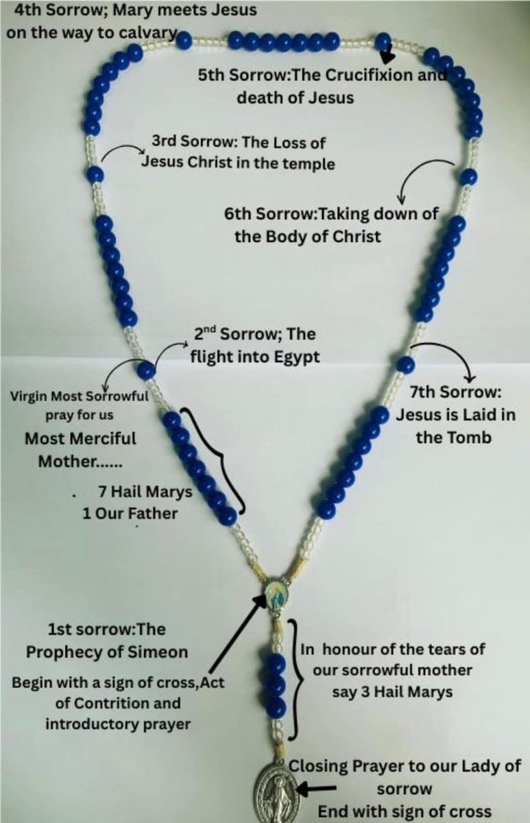 charychaplin79's tweet photo. Walking With Mary, Our Mother of Sorrows 

Today we close our month-long journey with Our Lady of Sorrows. For 30 days, we have walked with Mary through her deepest pains—her Seven Sorrows—and discovered her unshakable faith, her motherly love, and her powerful intercession. https://t.co/SEBQNRaUQZ
