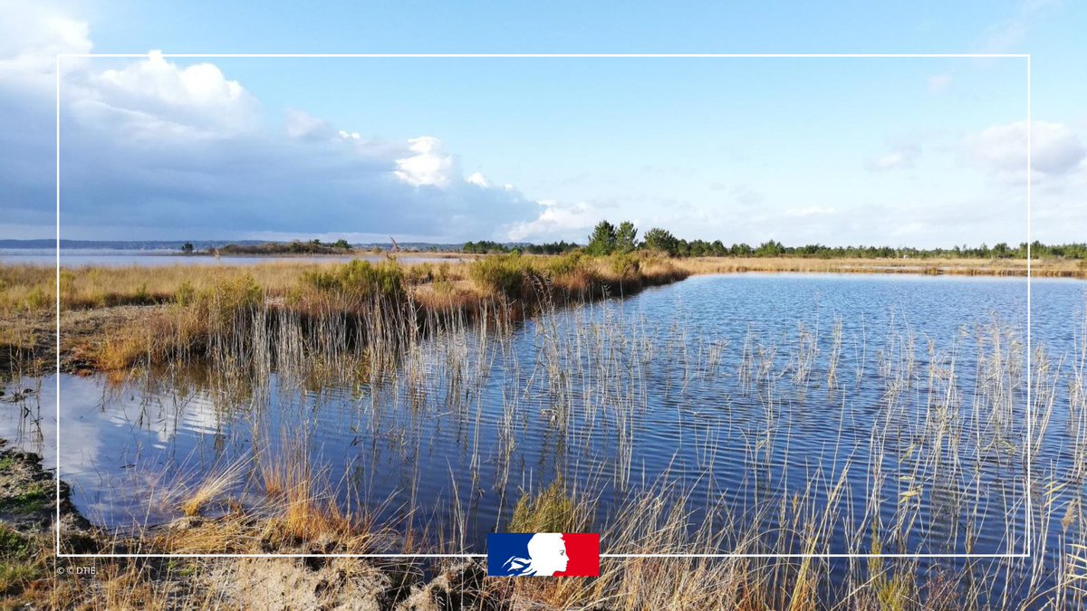 SGArmees's tweet image. 🌿 Biodiversité &amp;amp; Défense : un engagement renouvelé !
@Armees_Gouv et #FCEN ont signé une nouvelle convention (2025-2030) pour protéger les terrains militaires, véritables réservoirs écologiques.
👉 defense.gouv.fr/sga/actualites… 
#Défense #Biodiversité #EDD2025