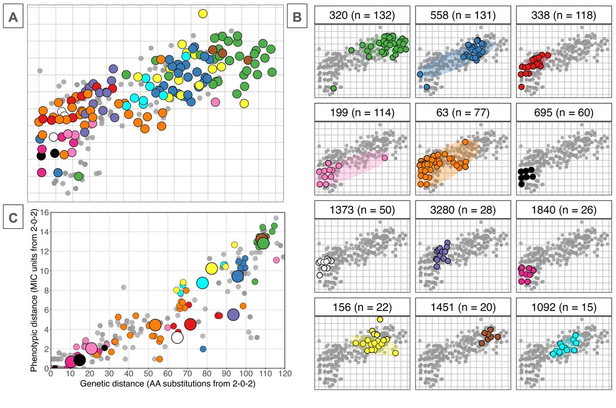 Andrew Balmer tweet media