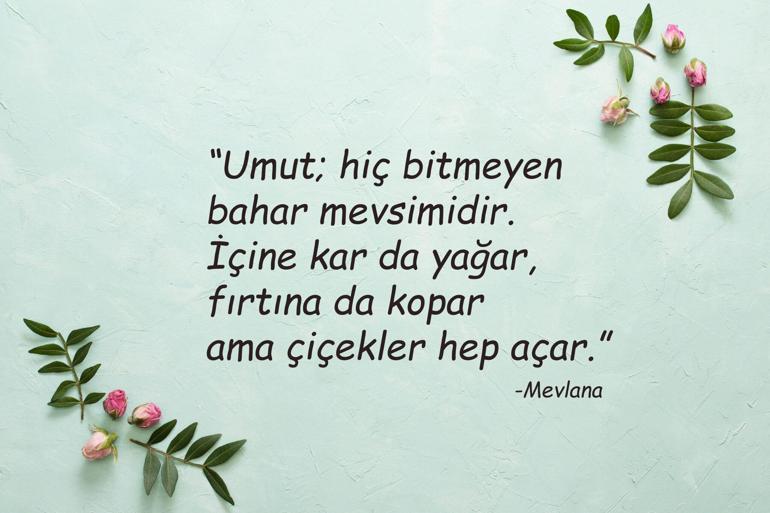 serdarc2025's tweet photo. #günaydın https://t.co/glR3q9KpFD