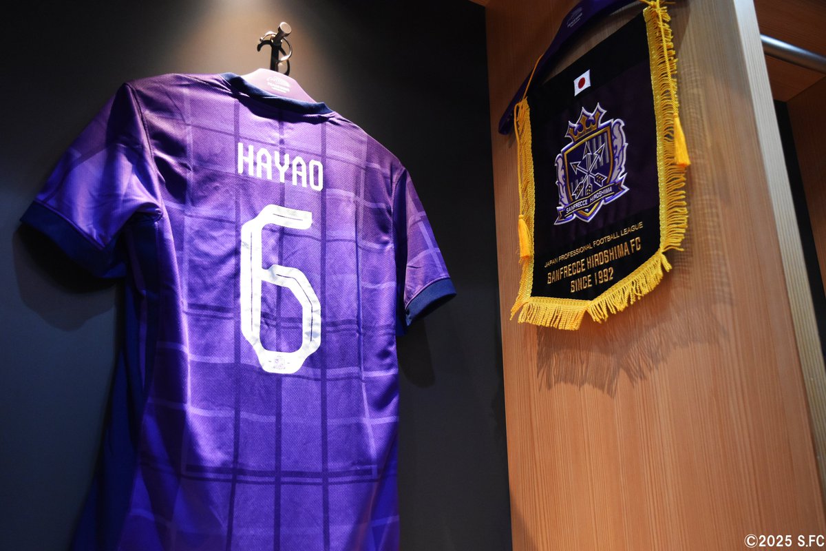 おさだ。広島 サッカー L 紫 6番 青山 ユニフォーム 2019 サンフレッチェ広島 サッカー L 紫 6番 青山 ユニフォーム 2019