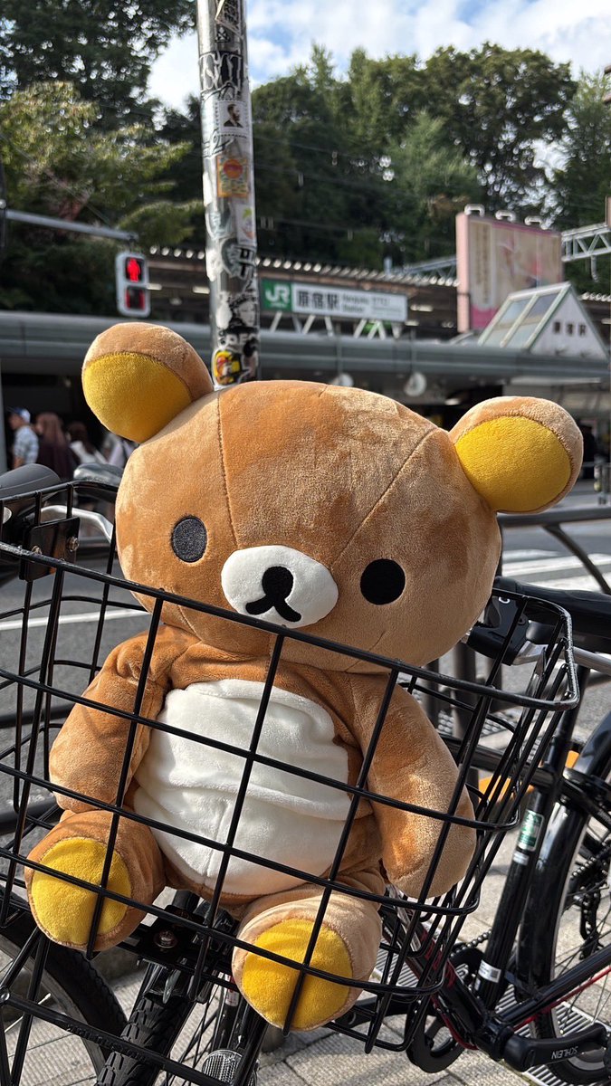 728ra's tweet photo. 娘が新しい子をお迎えしたようです
#リラックマ https://t.co/iTK3almUef