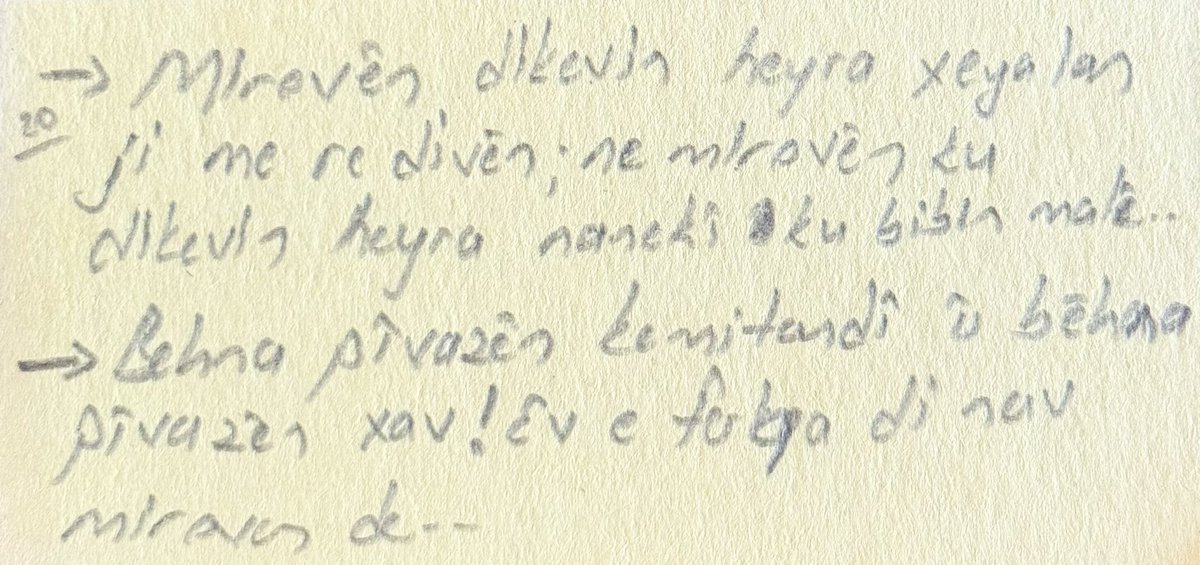 Ew jî ji pirtûka Eyşana Beravî a ‘Nowa’yê