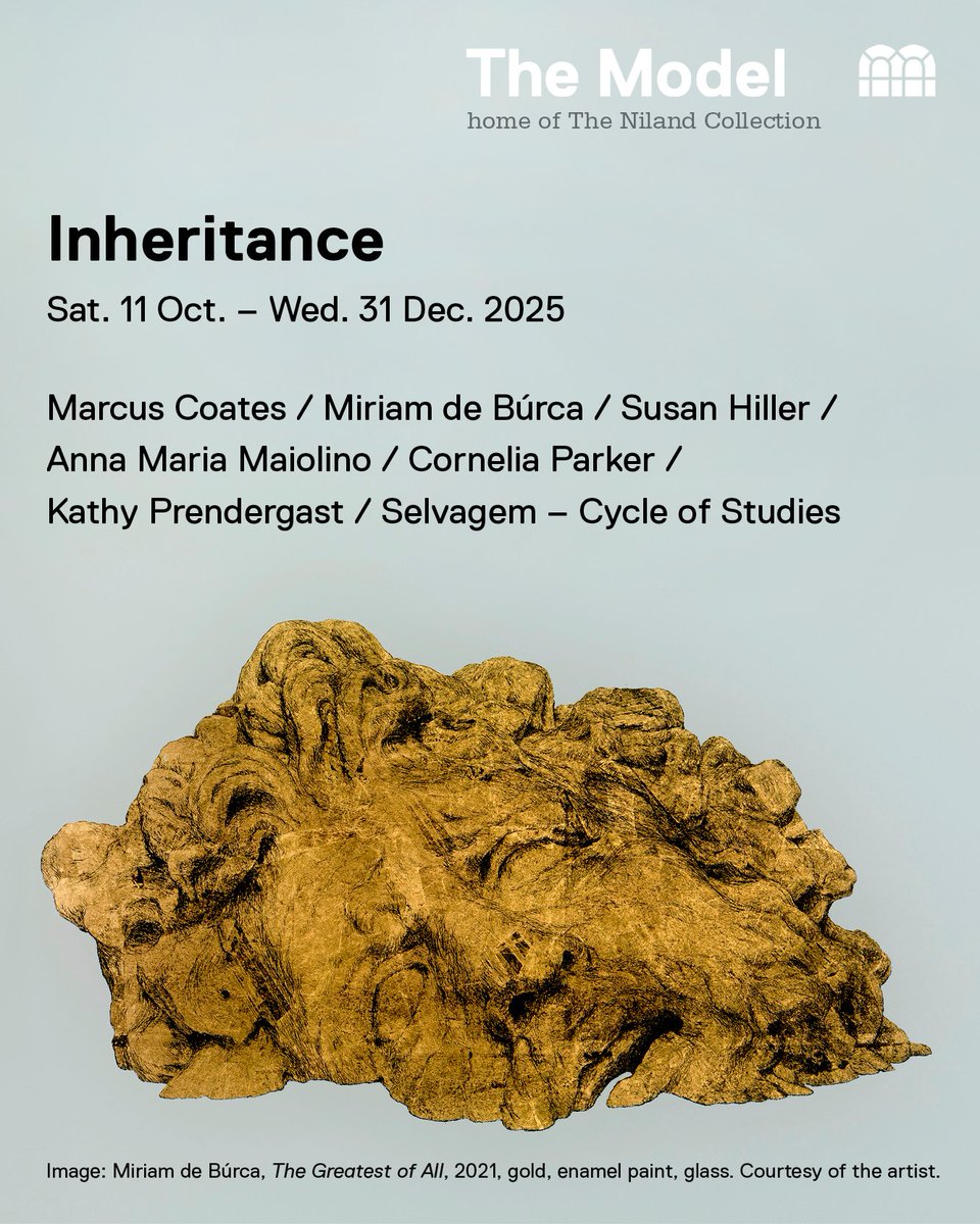 The Model Sligo tweet media