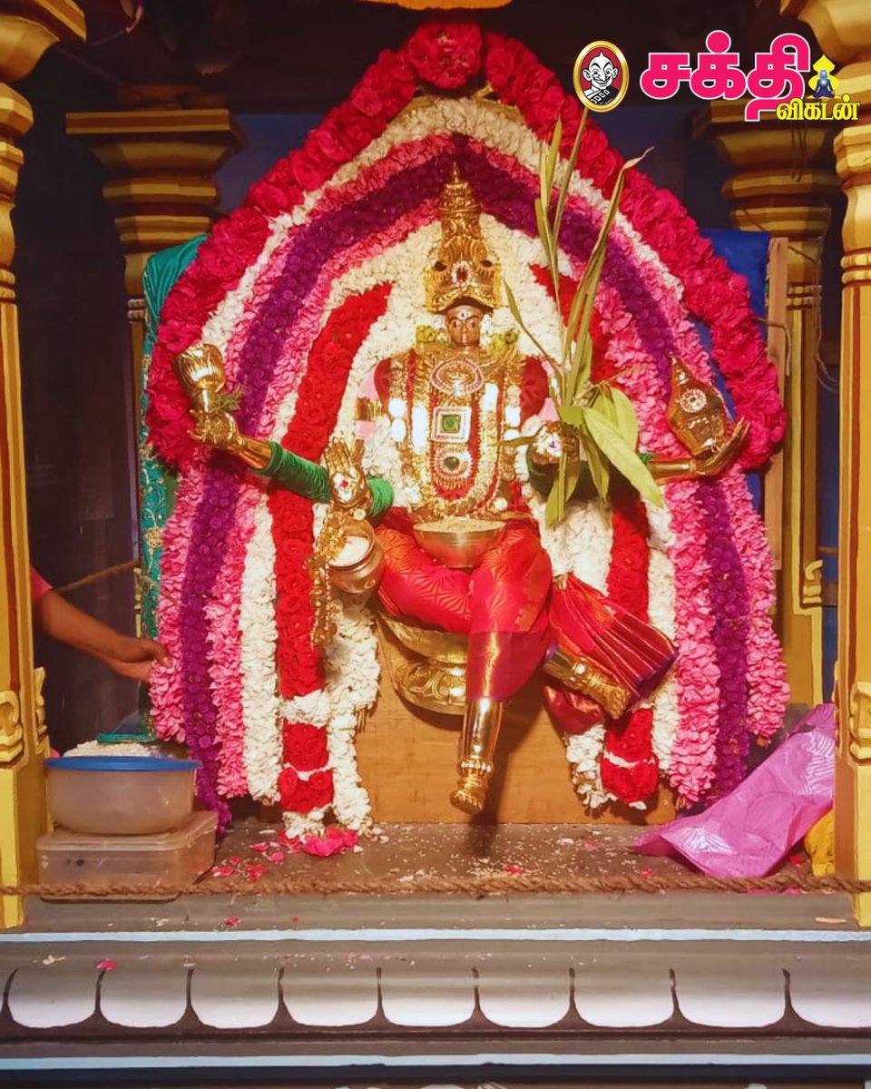SakthiVikatan's tweet image. பாளையங்கோட்டை அருள்மிகு தூத்துவாரி அம்மன் கோயிலில் நவராத்திரியை முன்னிட்டு அம்மனுக்குச் சிறப்பு அலங்காரம் செய்யப்பட்டது.
படங்கள்: சி.த. இஷா
#Navaratri | #SakthiVikatan