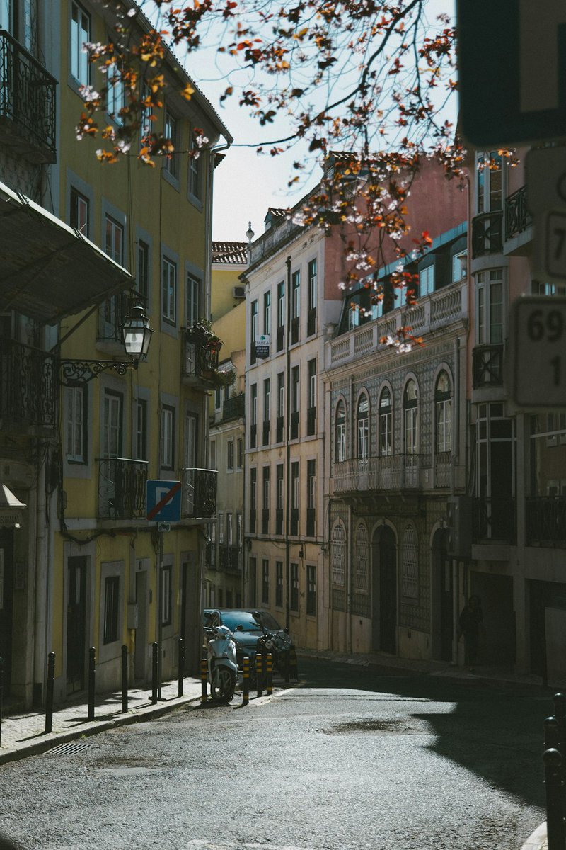 "Lisboa, Portugal"
India Hambloch
Lisboa, Portugal