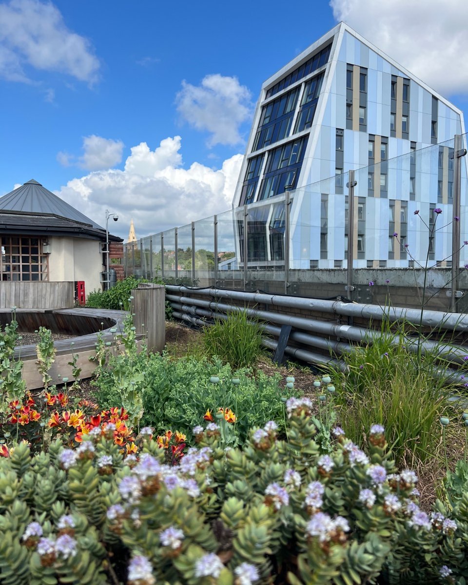 Nottingham Trent University tweet media