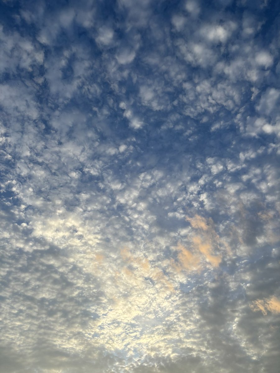 mia2525mimi's tweet photo. モコモコの雲 ☁️𓈒𓏸

ピンク色の雲

今日で9月も終わりね

𓏸𓈒 𓂃🍇.*

って考えながら見てた…

素敵な夜を…🌙*·̩͙

(✳︎´∨︎`✳︎).°。

#空 https://t.co/ah3uH4PjFP
