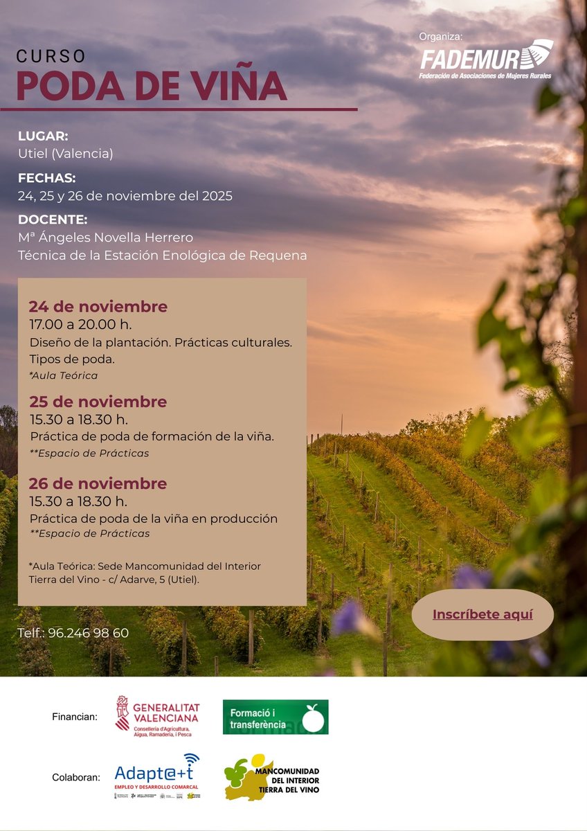 ⁉ ¿Trabajas en viticultura?  ¿quieres perfeccionar tus conocimientos? Curso de Poda de Viña 🍇
 #MITV  a través del #Adapt@+t  y #Fademur

📅 24, 25 y 26 nov 2025 Utiel (Valencia)
📖 24 nov: teoría en #MITV
Inscripciones: alcuemp.gva.es/alcuemp/public…
