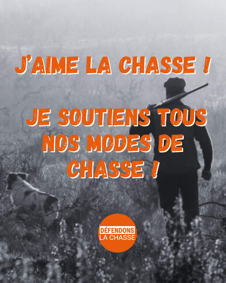 defendonschasse's tweet image. Parce que nous aimons nos campagnes, nos traditions, notre biodiversité…
Parce que nous sommes fiers de nos chiens, de nos battues, de nos chasses à la passée, à la billebaude, à l’approche, aux pantes, au vol…
Parce que tous les modes de chasse sont une richesse, et que chacun…