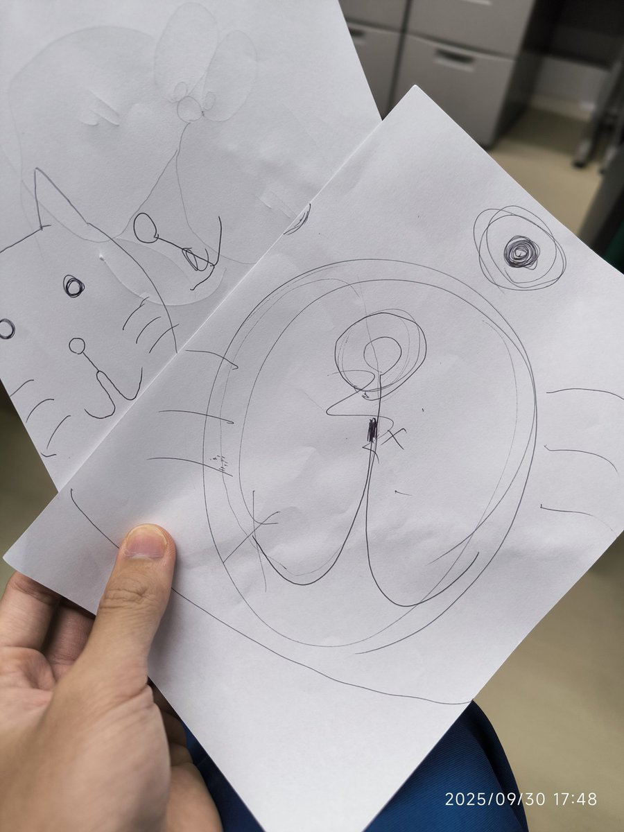 刺激伝導系ネコ