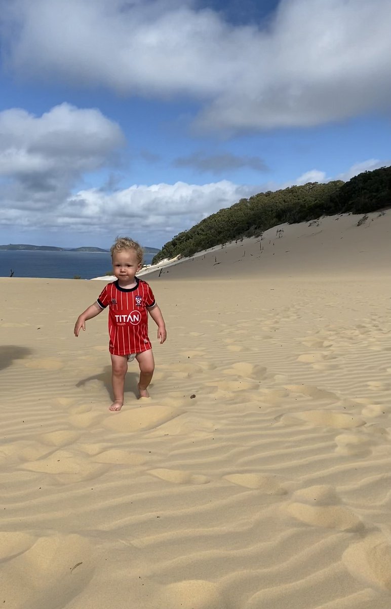 MatHawkhead's tweet image. Queensland Reds. 🇦🇺