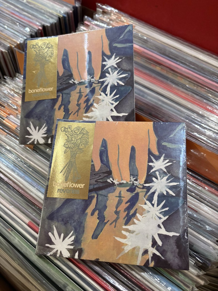 SAOSIN レコード　LP カブトムシ　スクリーモ　エモ　ポストハードコア 好きなスクリーモ・アルバム選 ～その5 | LOVE ROCK “Redone”