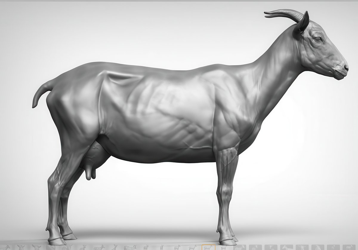 MitsArt3d's tweet photo. How are you, gentlemen artists? And I will share with you #references and images on sculpting #Anatomy #Animals Pack №29 #3d #gamedev #3dart #hand #modeling #3DModel #sculpting #leg #dog #gameart #zbrush #horse #snake #ecorche #sculpture #muscles #chest #ears #neck #cat https://t.co/CG2fxnMur1